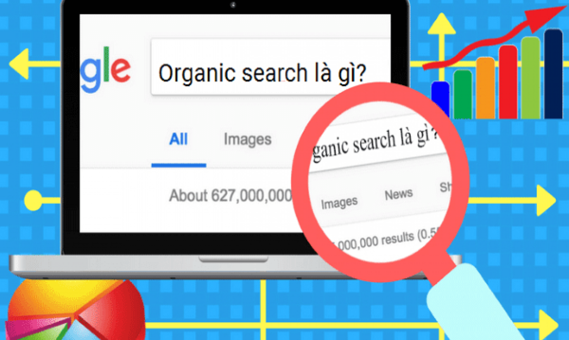 Organic Search Traffic là gì?