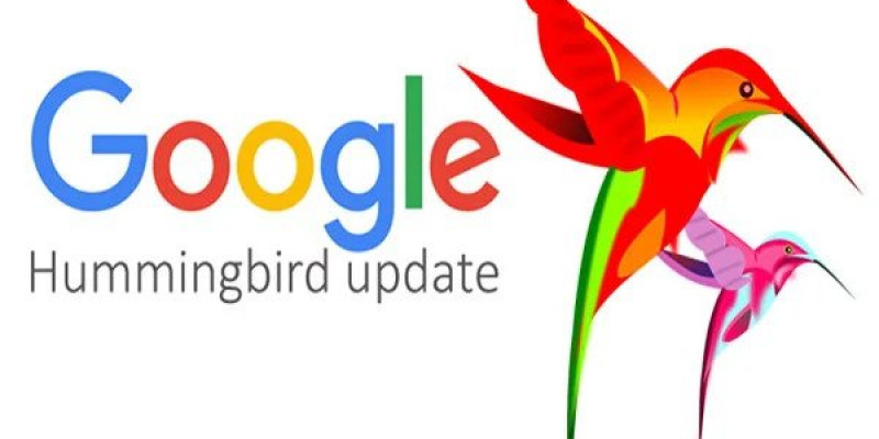 Google Hummingbird là gì? Cách tối ưu hóa website thân thiện với thuật toán Hummingbird