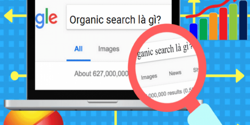 Organic Search Traffic là gì? Tầm quan trọng trong Marketing và SEO